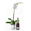 Pure & Simple Flowers & Champagne Gift, White Potted Orchid with a Bottle of Sparkling Wine, from Vancouver Blooms - Same Day Vancouver Delivery.