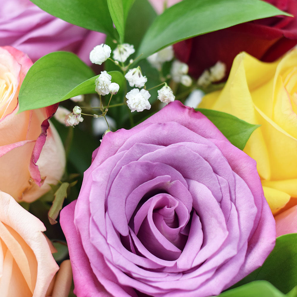 Rainbow Essence Rose Gift, Rose Box Set Flower Gifts from Vancouver Blooms - Same Day Vancouver Delivery.