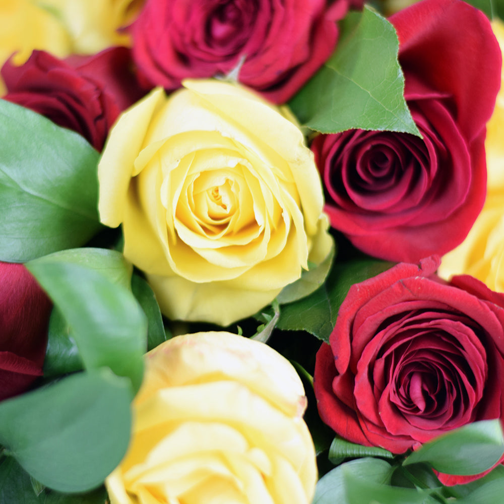 Raspberry Ripple Mixed Rose Bouquet, White Tea Roses Flower Gifts from Vancouver Blooms - Same Day Vancouver Delivery.
