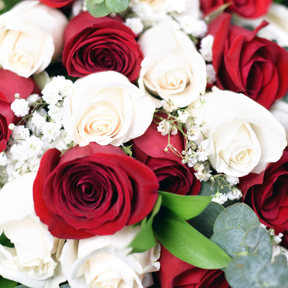 Let the one you love know how much they mean to you with the Romantic Musings Rose Bouquet from Vancouver Blooms - Same Day Vancouver Delivery.