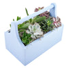 Vancouver Same Day Flower Delivery - Vancouver Flower Gifts - Plant Gifts - Cactus