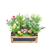 The Secret Garden Box is a lovely miniature tabletop garden with different potted plants beautifully arranged in a wooden planter that brings the beauty of nature indoors.  Vancouver Delivery
