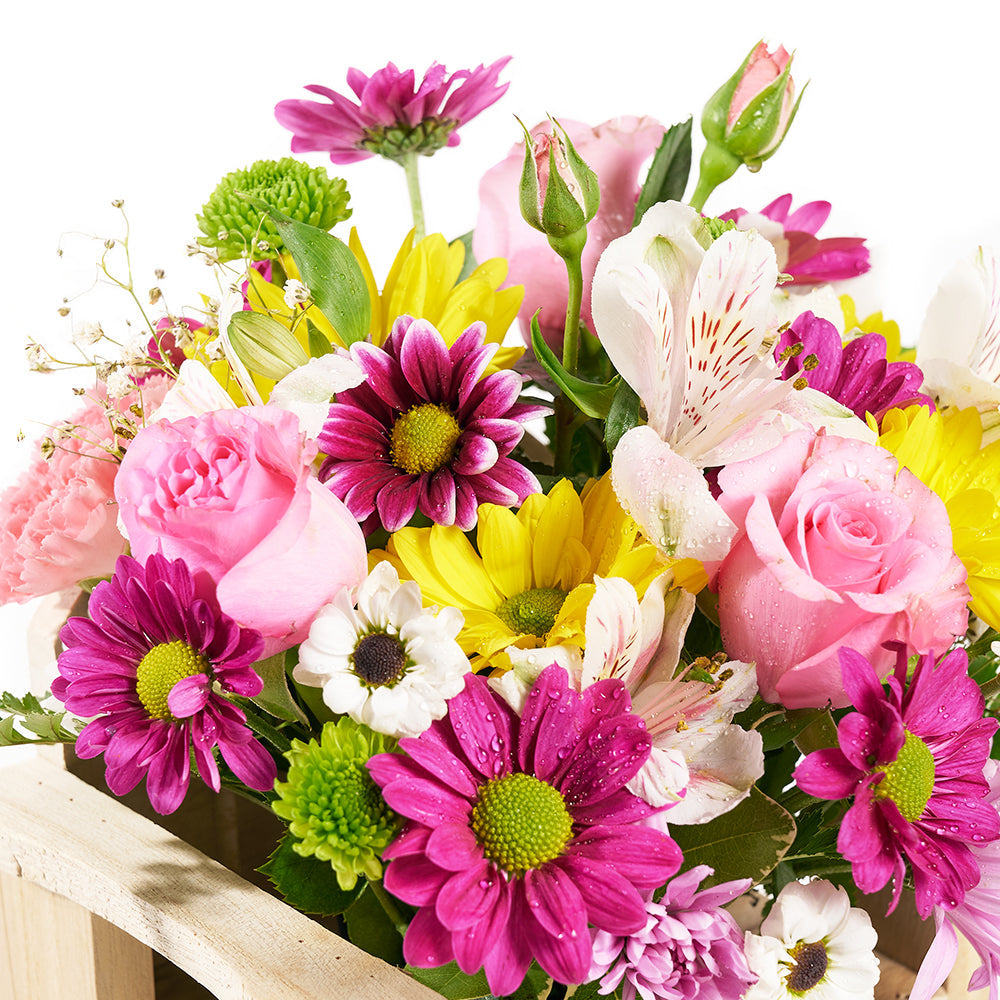 Slice of Nature Garden Chair  - Mixed Flower and Chair Gift Set - Same Day Vancouver Delivery