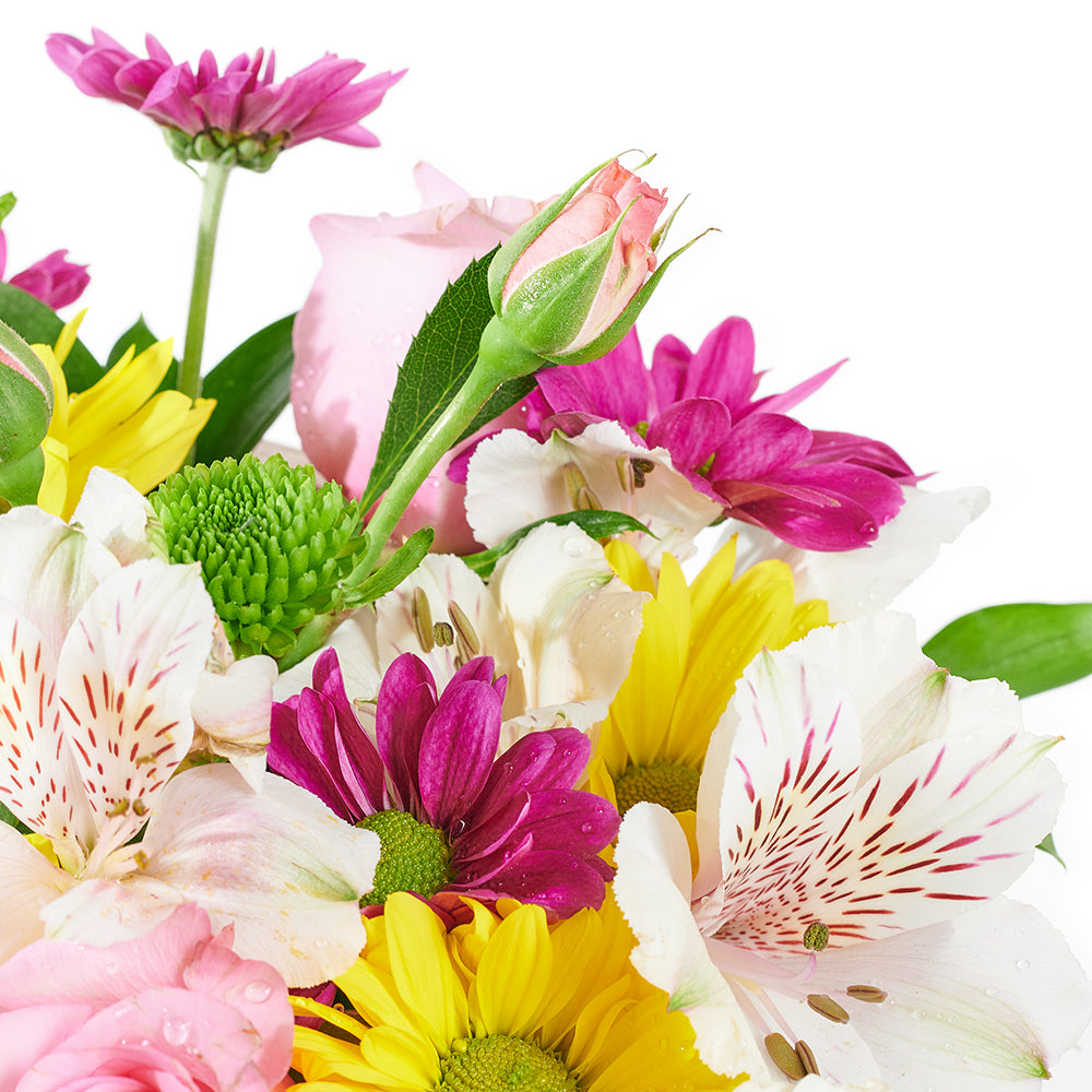 Slice of Nature Garden Chair  - Mixed Flower and Chair Gift Set - Same Day Vancouver Delivery