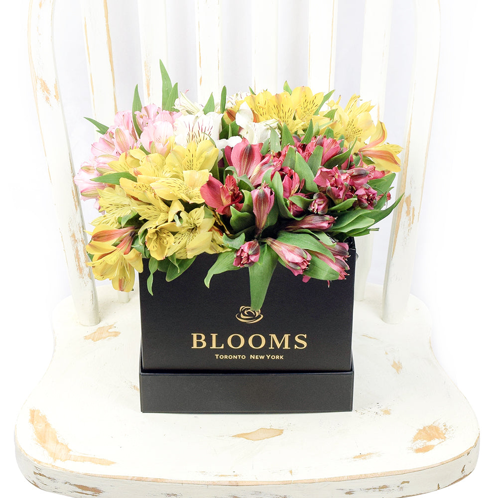 Spring Bloom Peruvian Lily Hat Box, Flower Gifts from Vancouver Blooms - Same Day Vancouver Delivery.