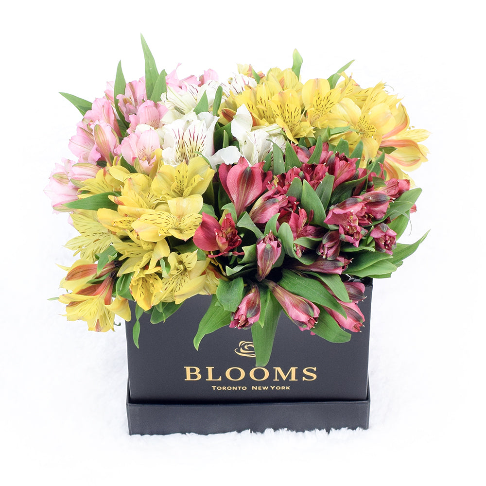 Spring Bloom Peruvian Lily Hat Box, Flower Gifts from Vancouver Blooms - Same Day Vancouver Delivery.