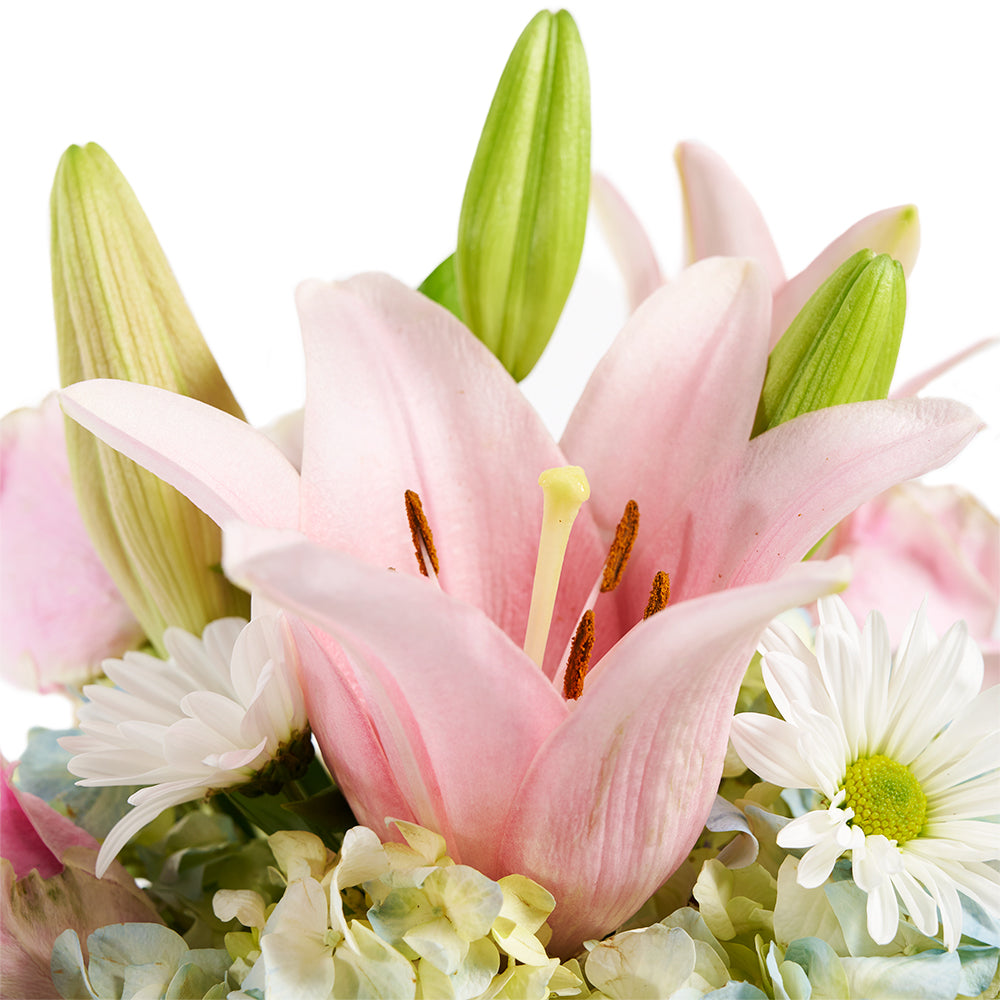 Spring Forth Mixed Floral Gift - Mixed Floral Arrangement Hat Box - Same Day Vancouver Delivery