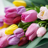 Spring Radiance Tulip Bouquet, Flower Gifts from Vancouver Blooms - Same Day Vancouver Delivery.