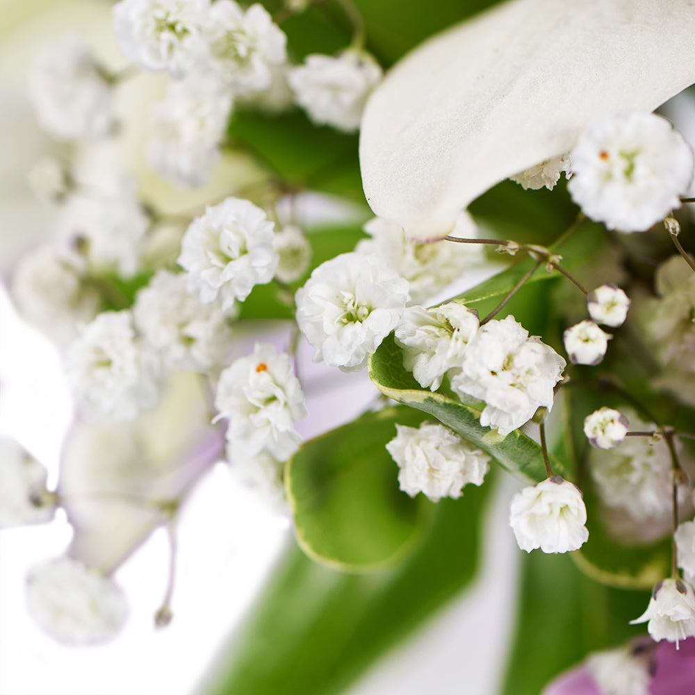 Spring Rose & Lily Arrangement – Floral Gifts –  Vancouver delivery