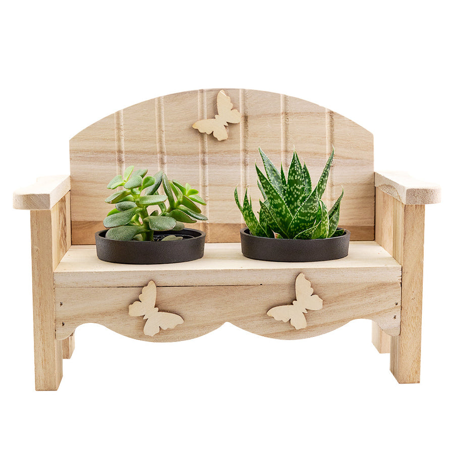 Succulent Greenhouse planter bench arrangement with a potted succulent. Same Day Vancouver Delivery