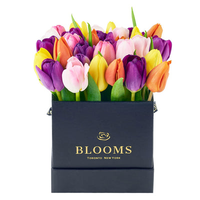 Summer Splash Tulip Arrangement - Floral Gift Box - Same Day Vancouver Delivery