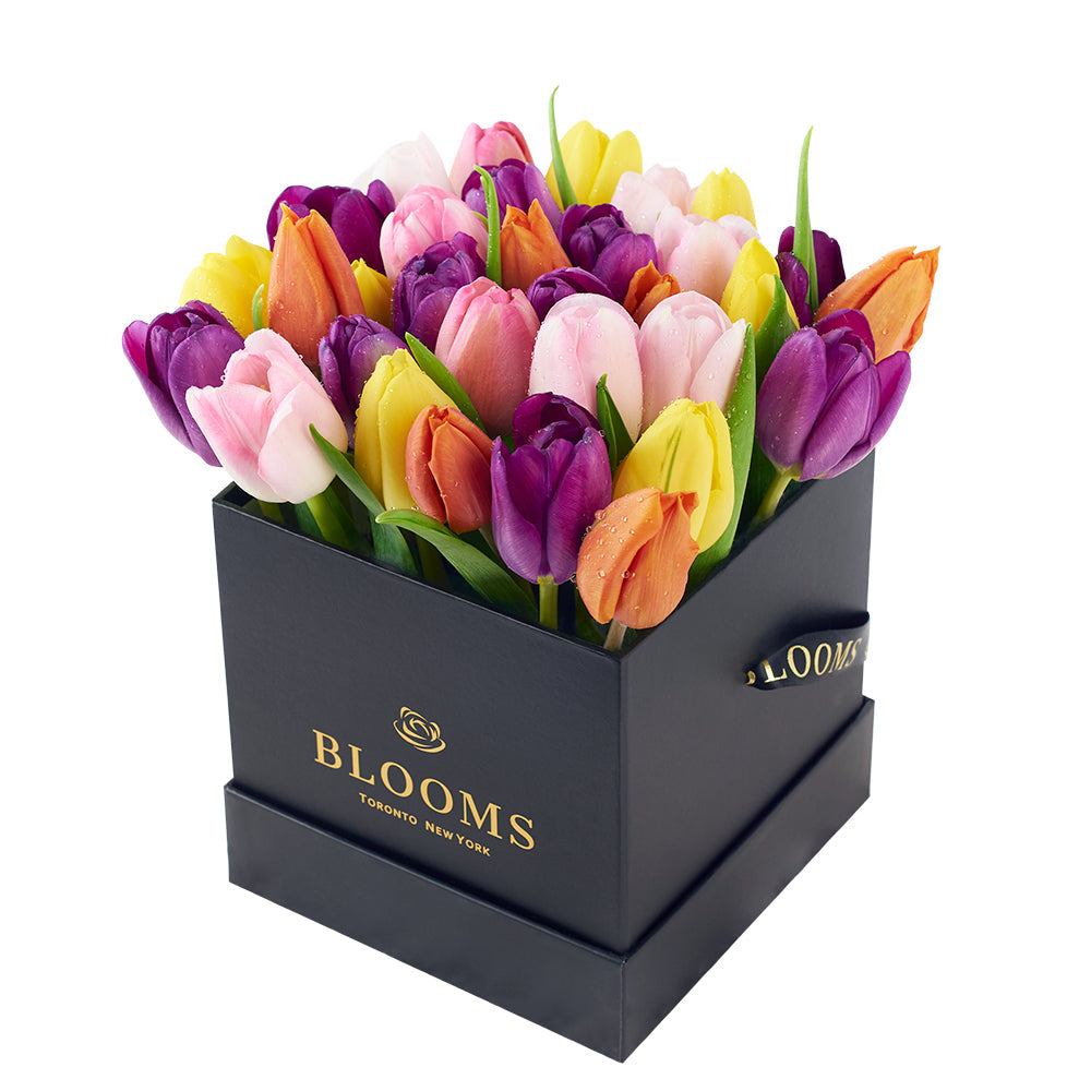 Summer Splash Tulip Arrangement - Floral Gift Box - Same Day Vancouver Delivery