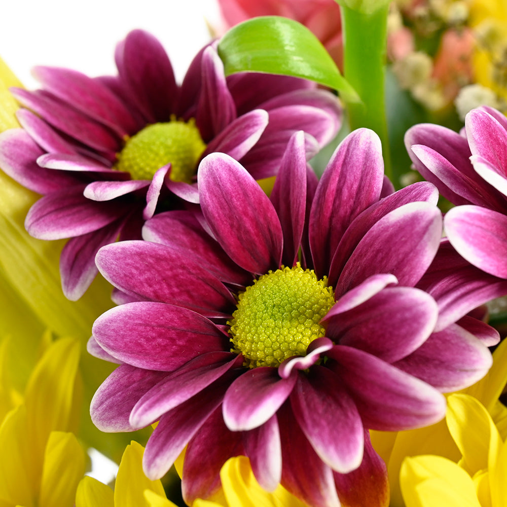 The Best Mother's Day Floral Gift - Wooden Planter Mix Floral Gift Basket - Vancouver Delivery