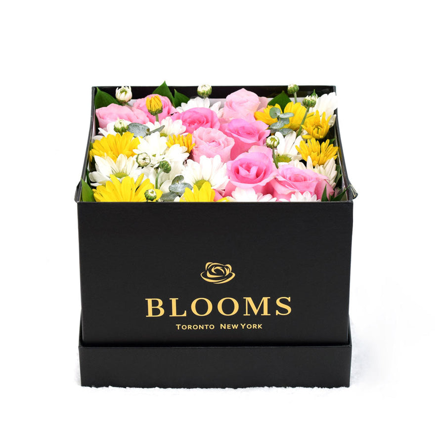 Mixed flower Rose and Daisies box - Same Day Vancouver Delivery