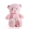 Pink Best Friend Baby Plush Bear, Baby Toys, Baby Gifts, Baby Plushies, Plushie Gifts, Vancouver Delivery